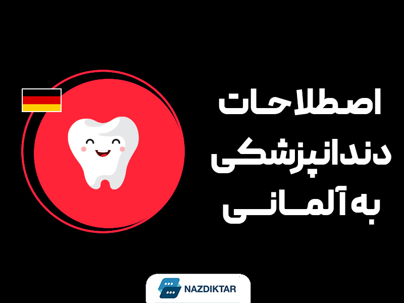 اصطلاحات دندانپزشکی به آلمانی